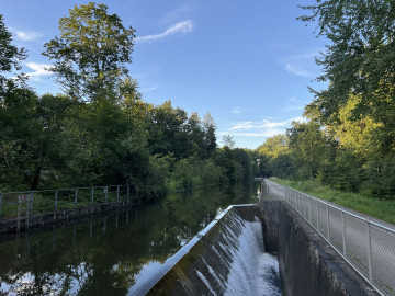 Riehenteich - Landschaftspark Wiese