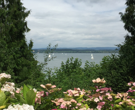 Insel Mainau, Aussicht auf den Bodensee